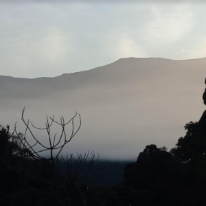 De Entre as montanhas ilustração