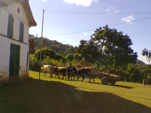 No fim do mundo tem um tesouro